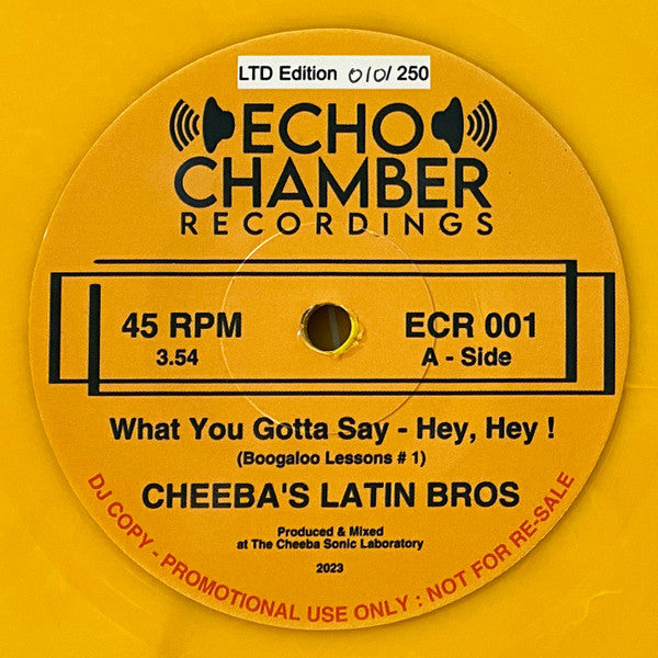 Cheeba's Latin Bros - What You Gotta Say b/w I Wanna Get High