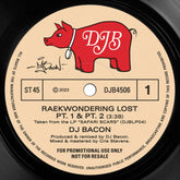 DJ Bacon - Raekwondering Lost Pt 1 & 2 b/w Aceyalone In The Wilderness (w/ slipmat)