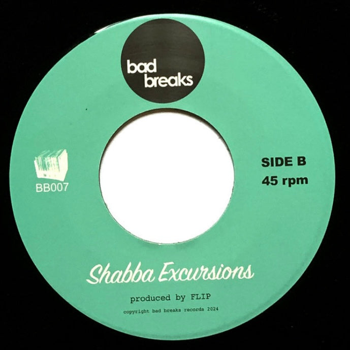 Flip - Outstanding Remake b/w Shabba Excursions