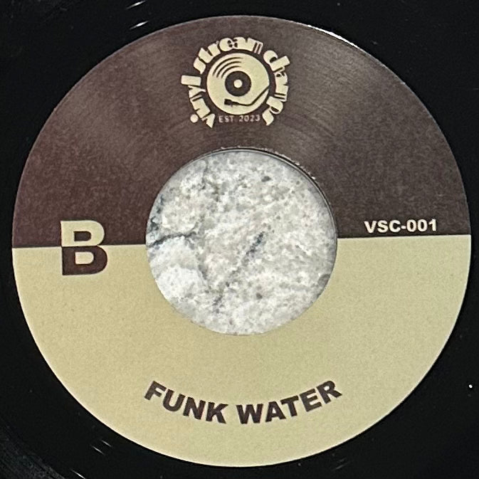 Vinyl Stream Champs - Bitch Better Have b/w Funk Water