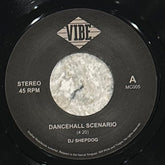 DJ Shepdog - Dancehall Scenario b/w Bashment Buddy