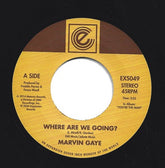 Marvin Gaye - Where Are We Going? b/w Woman Of The World