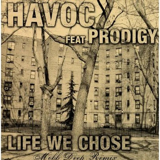 Havoc feat. Prodigy - Life We Chose (Remix)